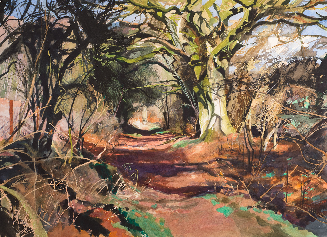 Winter Shadows