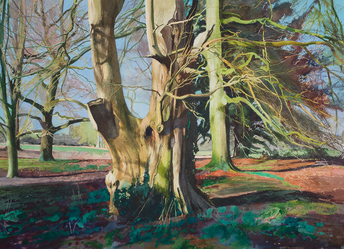 Trees, Lacock Abbey