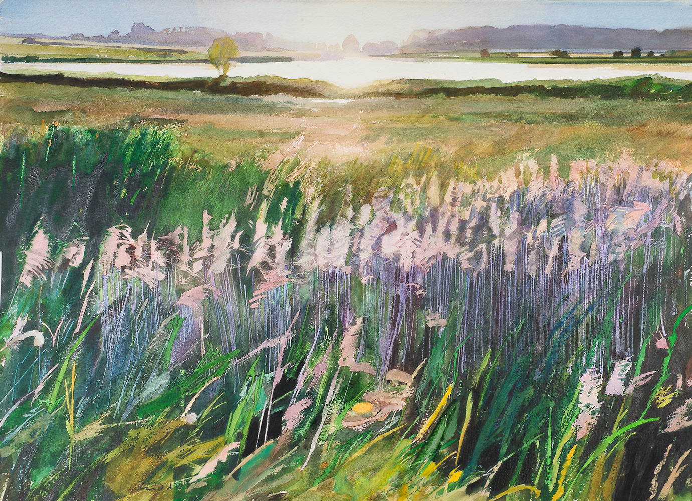 Grazing Marshes Lakenheath Fen