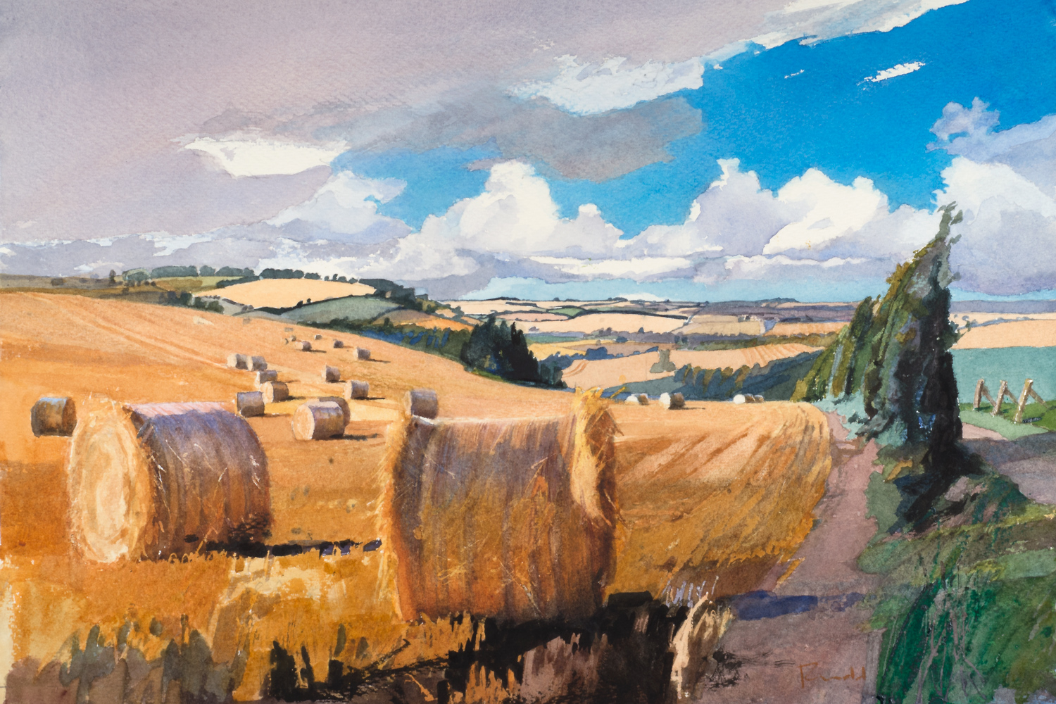 Cranborne Chase