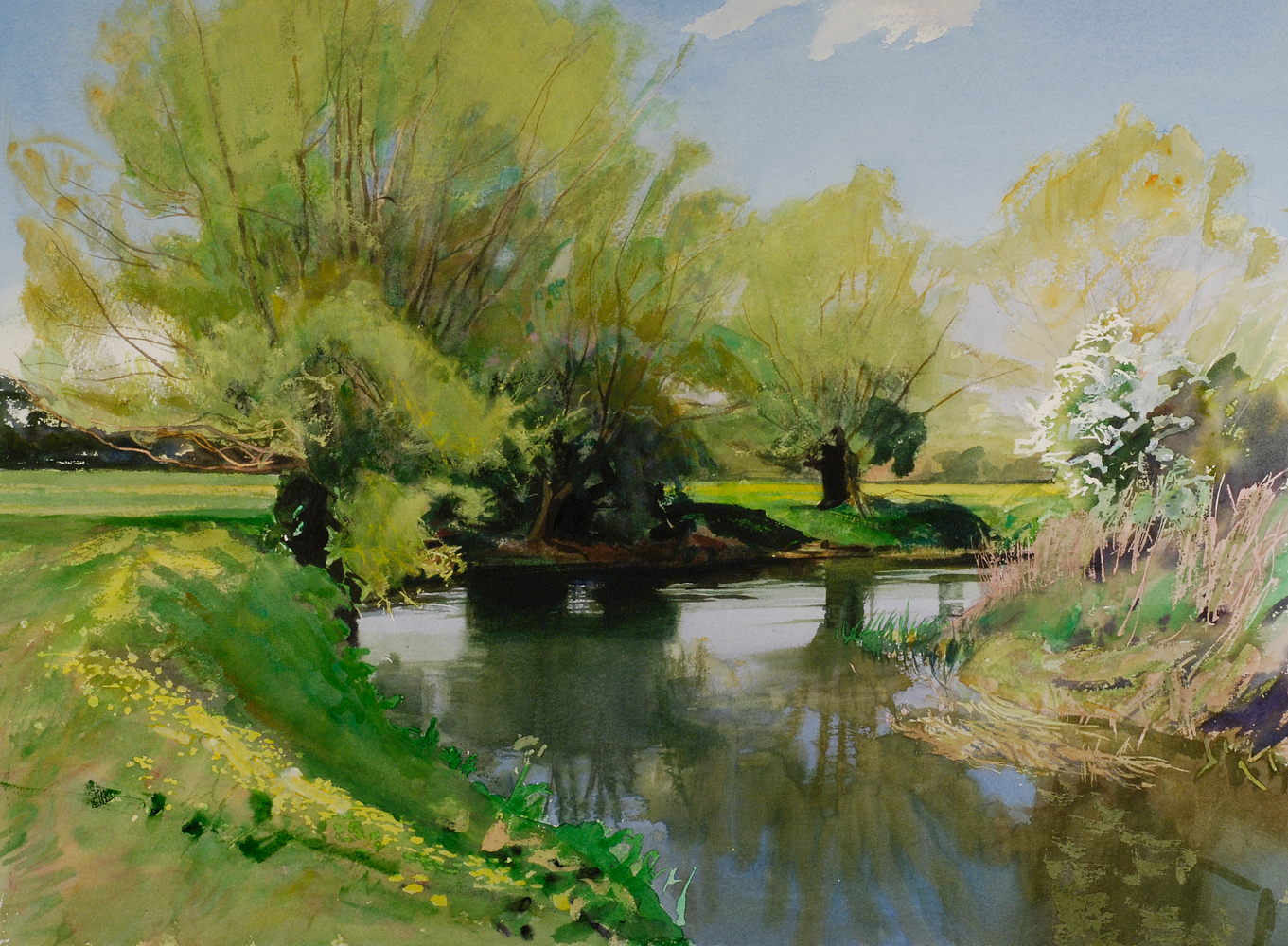 Avon, Great Somerford, Spring