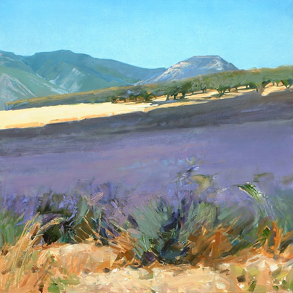 Lavender with Apricot Orchard