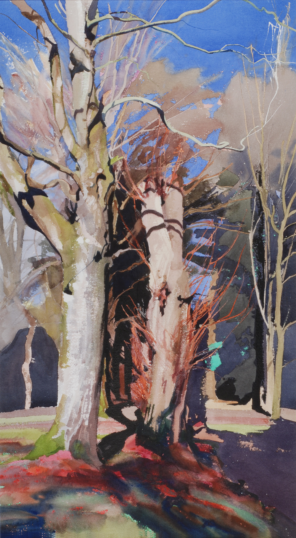 Winter Trees